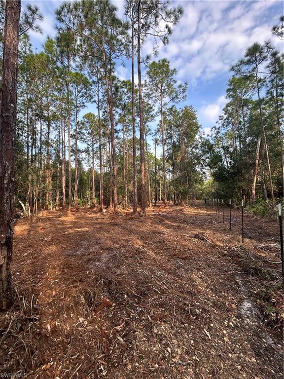 ACREAGE - Land