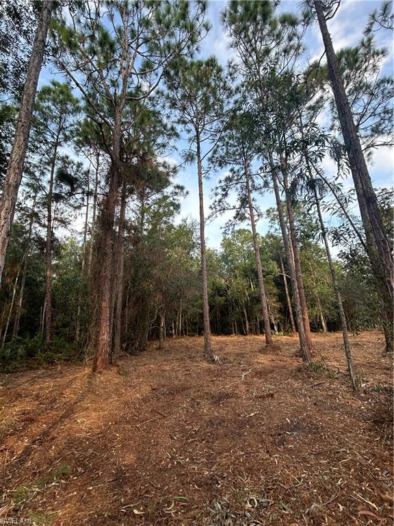 ACREAGE - Land