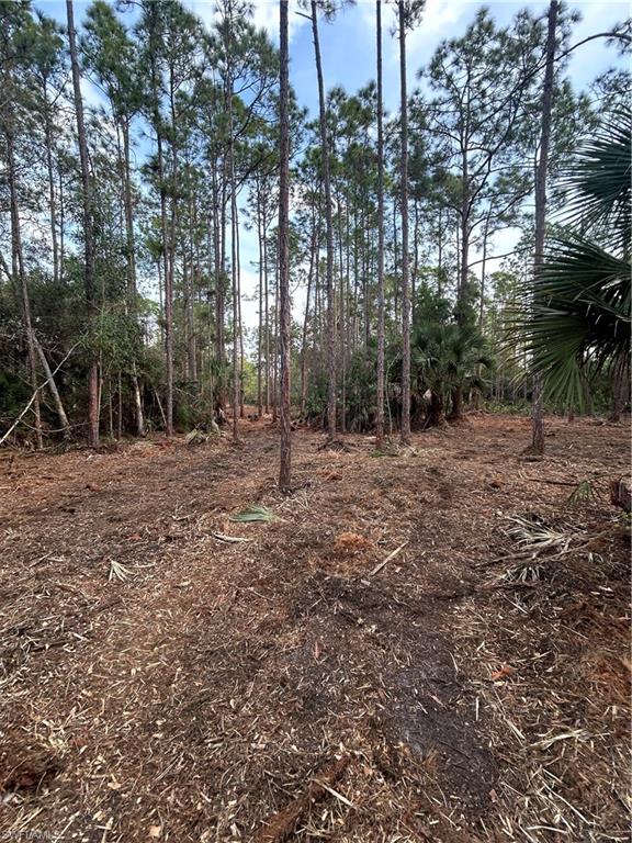 ACREAGE - Land
