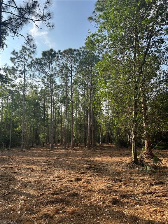ACREAGE - Land