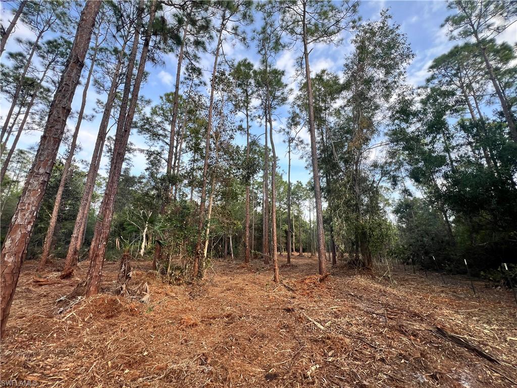 ACREAGE - Land
