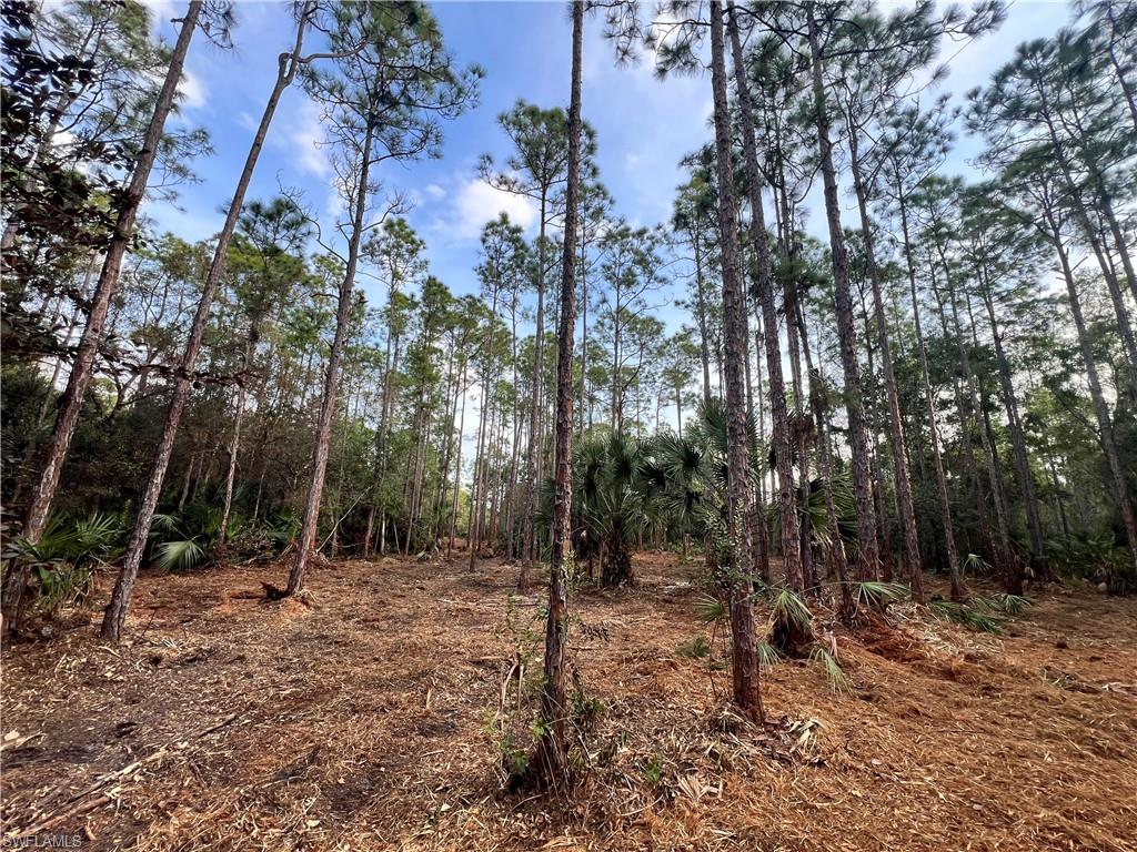 This 5 acre tract, identified as Parcel ID 00109400006, is located in rural Collier County near Naples, Florida. Positioned at the end of a road, the property offers no through traffic and a quiet setting surrounded by natural vegetation and open space. The parcel’s layout and location provide a sense of separation from nearby development while remaining within reasonable driving distance of area services and employment centers. The land is characterized by a mix of mature native trees, including oak, pine, and cabbage palm. These established trees contribute to natural shade, privacy, and a stabilized landscape that has not been recently cleared or altered. The existing vegetation also supports local wildlife species that are common to this part of southwest Florida. The property remains in a natural state, allowing a future owner flexibility in how much land to clear or preserve depending on intended use. This tract is suitable for a variety of potential uses consistent with local zoning and county regulations. Possible uses may include a private rural homesite, a small farm or agricultural use, or long-term land investment. Buyers should verify zoning, building requirements, and allowable uses with Collier County to confirm compatibility with their plans. Access is provided by a road, with the parcel located at the end of the roadway. This configuration has no pass-through traffic and enhances privacy. The terrain is generally level, which is typical for the area, and may be conducive to future site development subject to permitting, environmental review, and utility availability. No representations are made regarding buildability, wetlands, or required improvements, and all buyers should complete appropriate due diligence. While the property offers a rural setting, it remains within driving distance of Naples, providing access to shopping, dining, medical facilities, and other services. Additional nearby communities include Immokalee, Ave Marie, Bonita Springs, and Marco Island, offering a range of amenities and employment options. The location allows owners to maintain a rural lifestyle while staying connected to southwest Florida’s coastal and inland communities. This parcel presents an opportunity to own acreage in Collier County with established trees, privacy at the end of the road, and flexible potential uses. The property’s size and natural condition make it well suited for buyers seeking land in a rural setting near Naples without immediate development pressure.