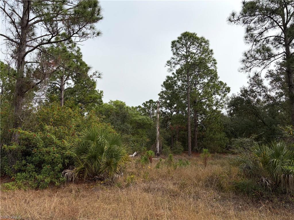 LEHIGH ACRES - Land
