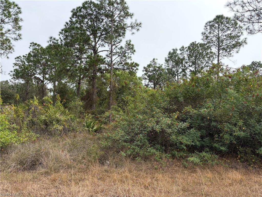 LEHIGH ACRES - Land