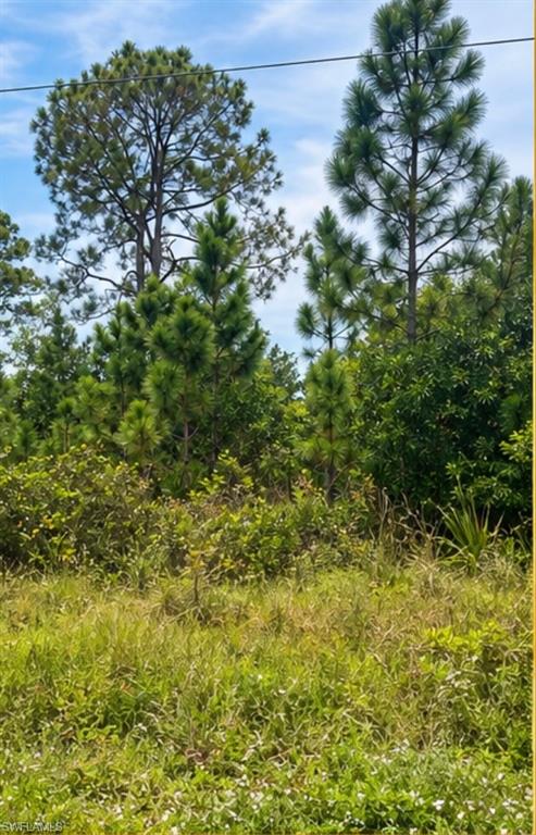 SOUTH PUNTA GORDA HEIGHTS - Land