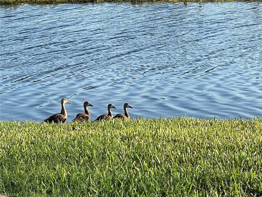 WATERSIDE AT BAY BEACH - Residential