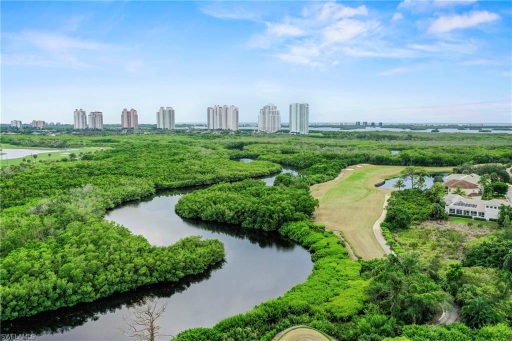 POINTE AT PELICAN LANDING - Residential