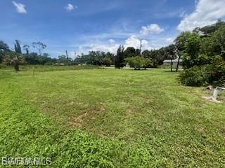 PALMONA PARK - Land