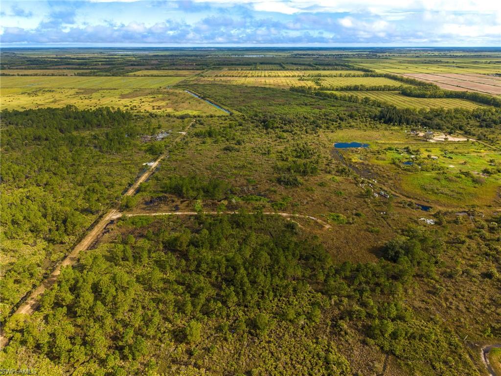 PUNTA GORDA - Land