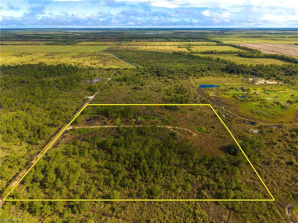 PUNTA GORDA - Land