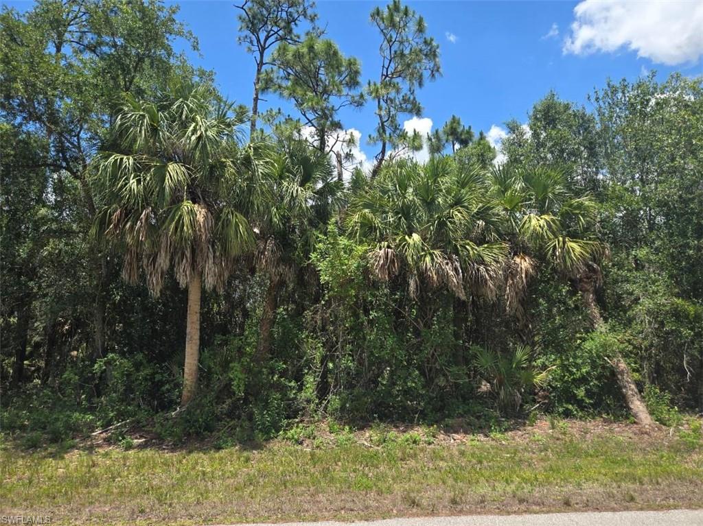 PUNTA GORDA - Land