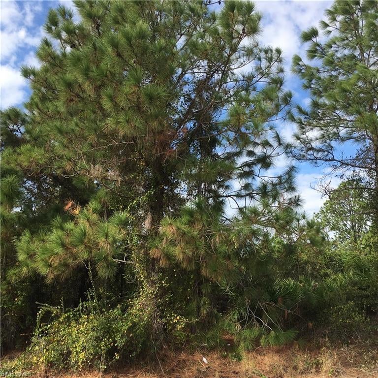 GOLDEN GATE ESTATES - Land