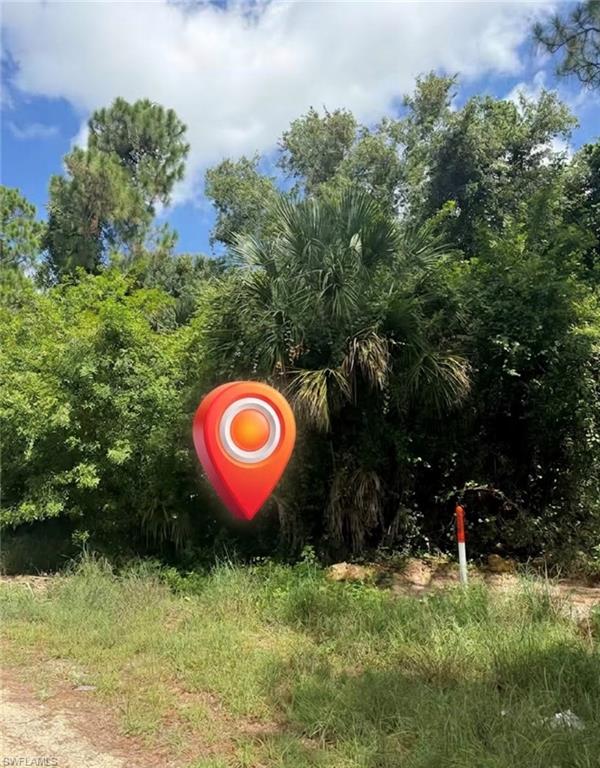 LEHIGH ACRES - Land