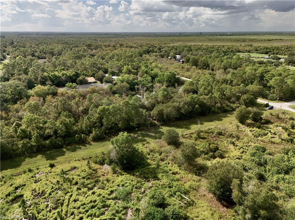 PIONEER PLANTATION SEC 36 - Land