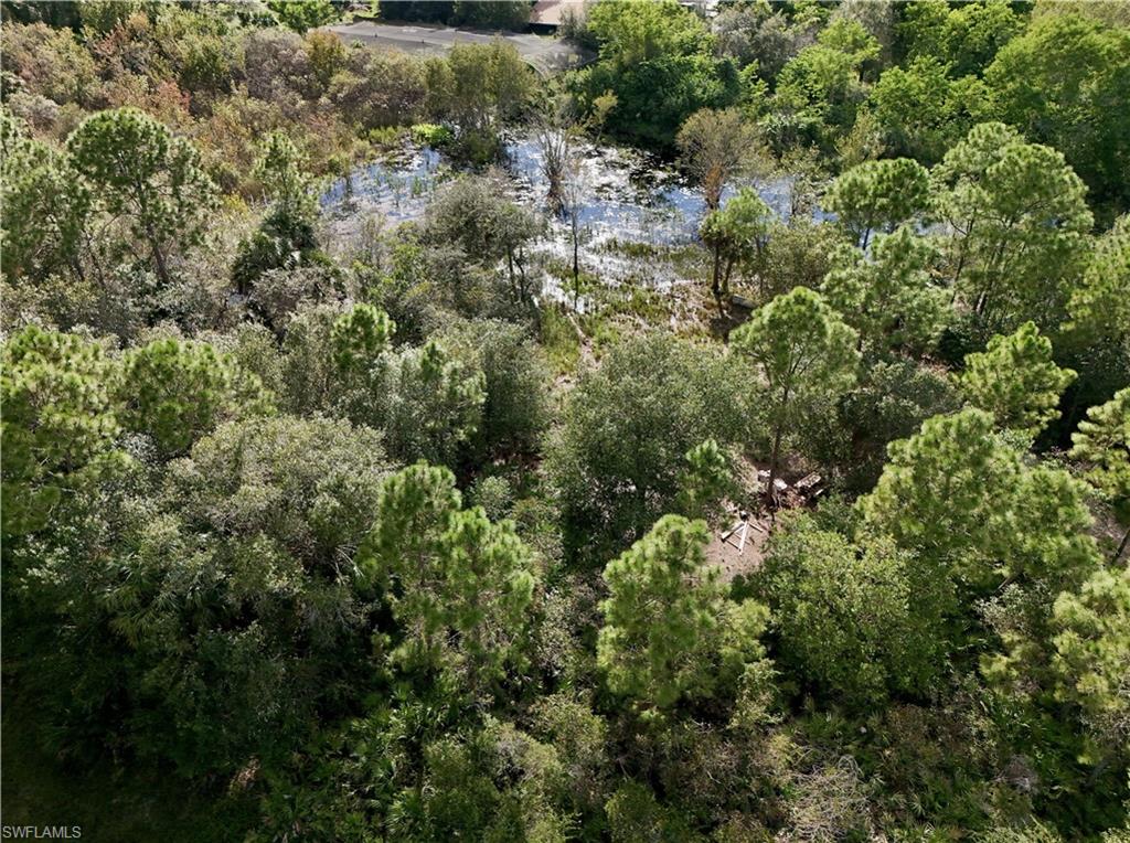 PIONEER PLANTATION SEC 36 - Land