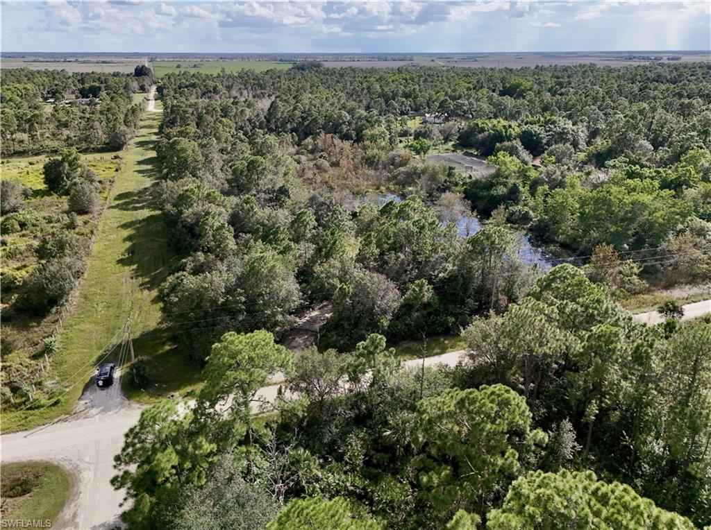 PIONEER PLANTATION SEC 36 - Land
