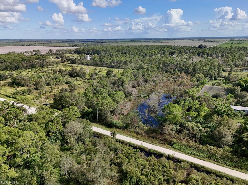 PIONEER PLANTATION SEC 36 - Land