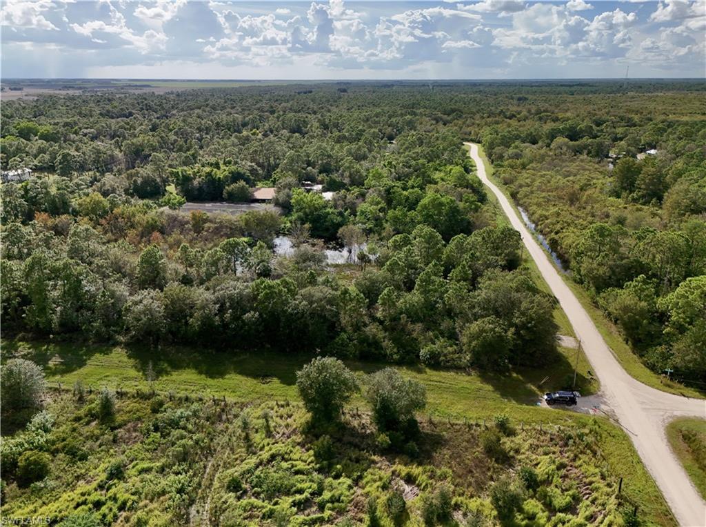 PIONEER PLANTATION SEC 36 - Land