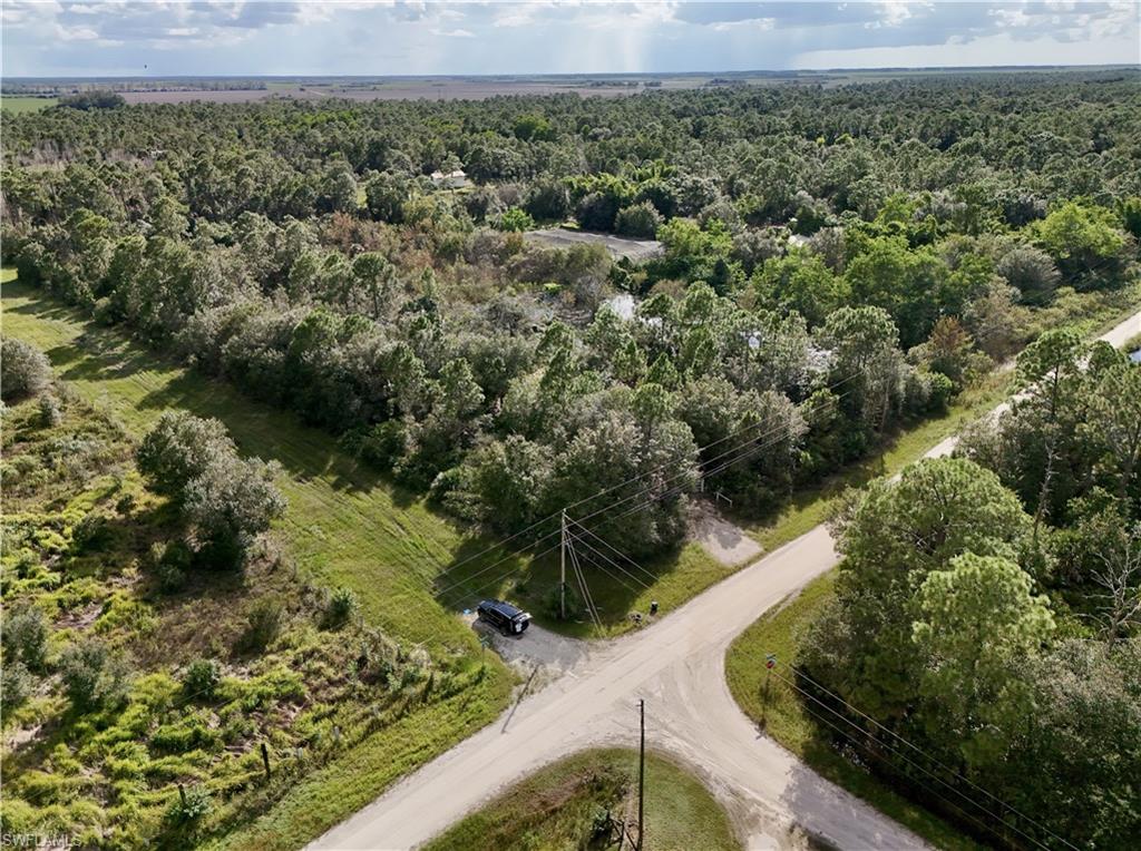 PIONEER PLANTATION SEC 36 - Land