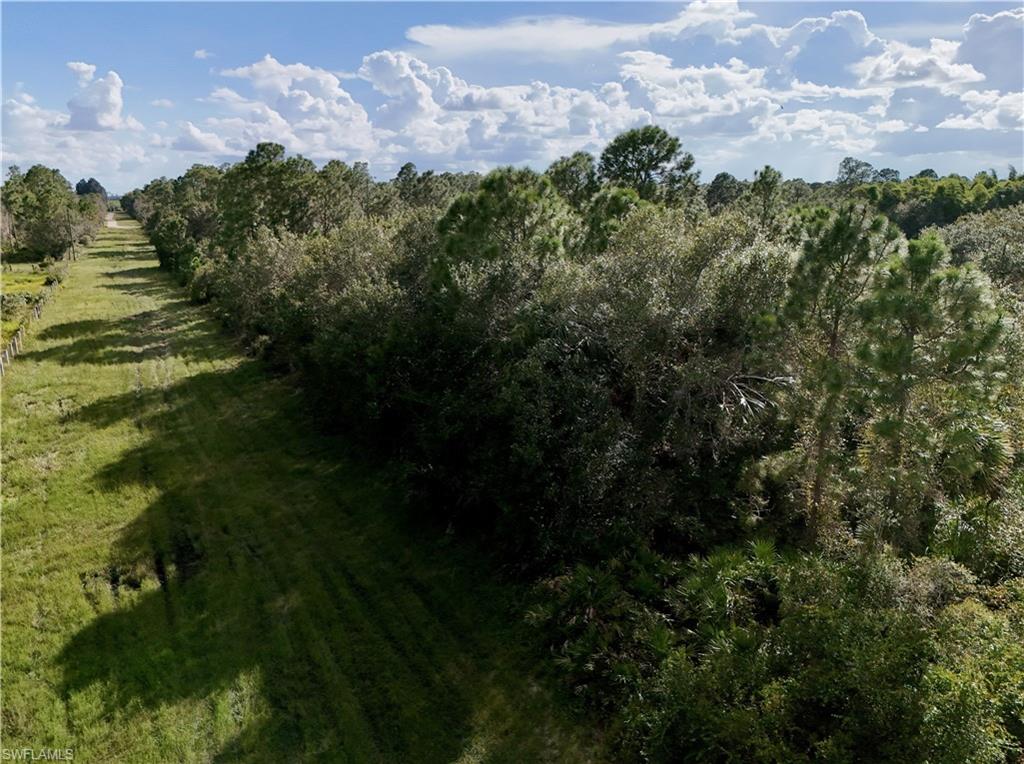 PIONEER PLANTATION SEC 36 - Land