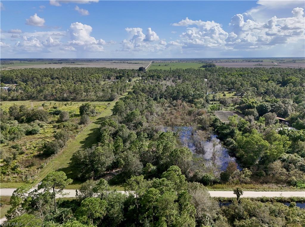PIONEER PLANTATION SEC 36 - Land