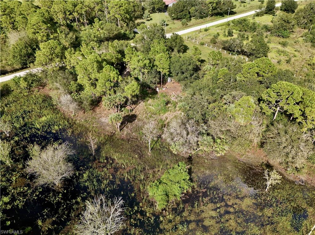 PIONEER PLANTATION SEC 36 - Land