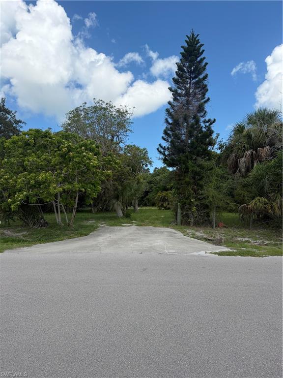 ACREAGE HEADER - Land