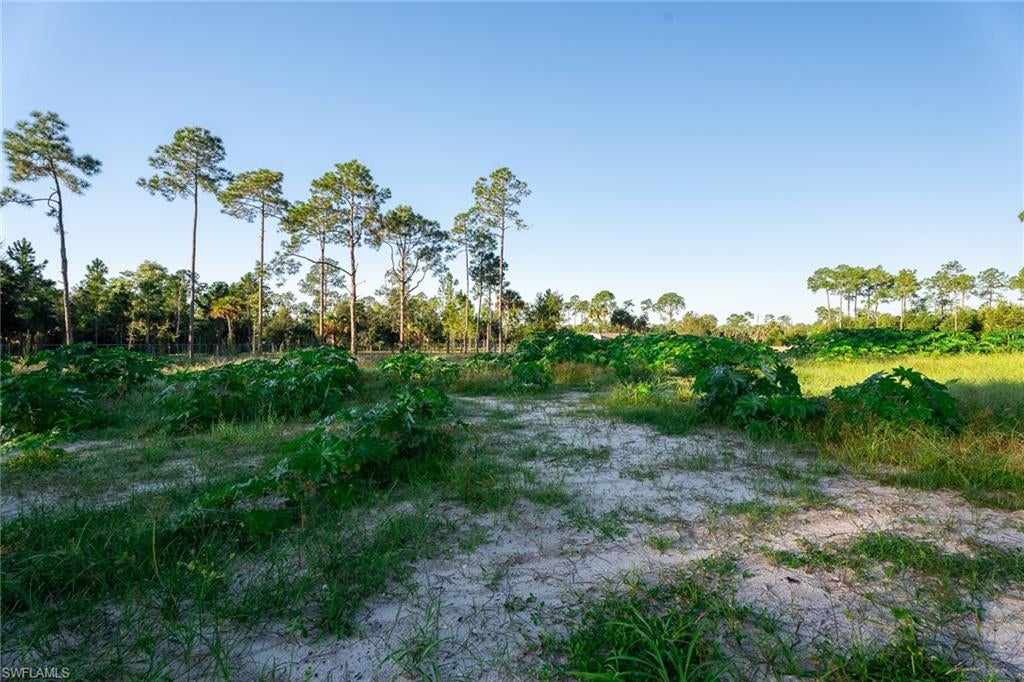 GOLDEN GATE ESTATES - Land