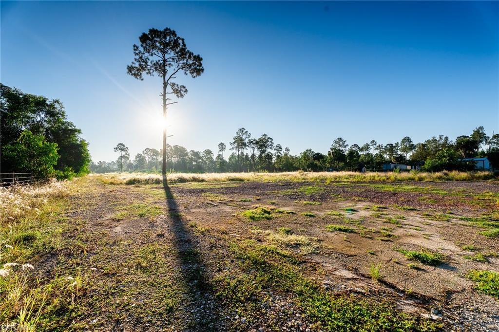 GOLDEN GATE ESTATES - Land