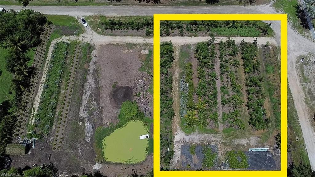 One of two adjoining lots for sale zoned AG-2. This property is located in scenic Saint James city and is currently an active palm tree farm with many field planted trees. The palms go with the property for added value and have the potential to produce income. Don't miss out! Resell or leave them as landscaping and privacy, giving the property a tropical feel. City water is available.