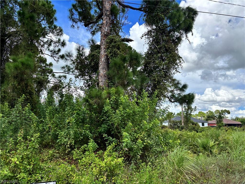 LEHIGH ACRES - Land