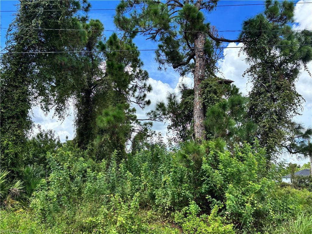 LEHIGH ACRES - Land