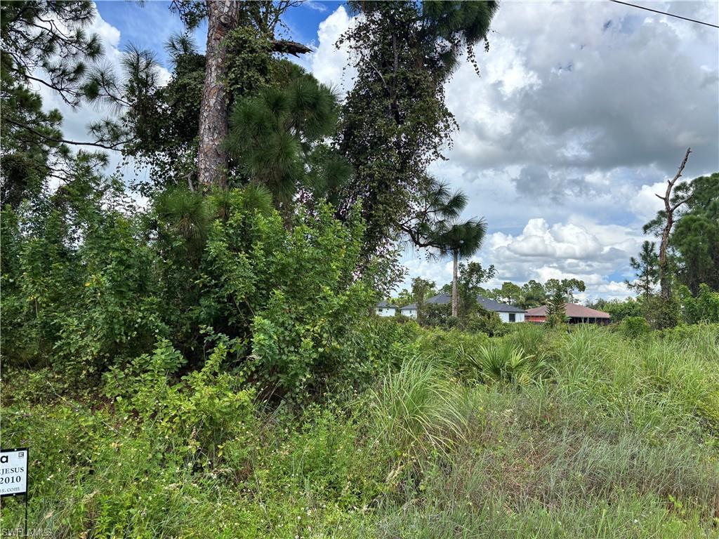 LEHIGH ACRES - Land