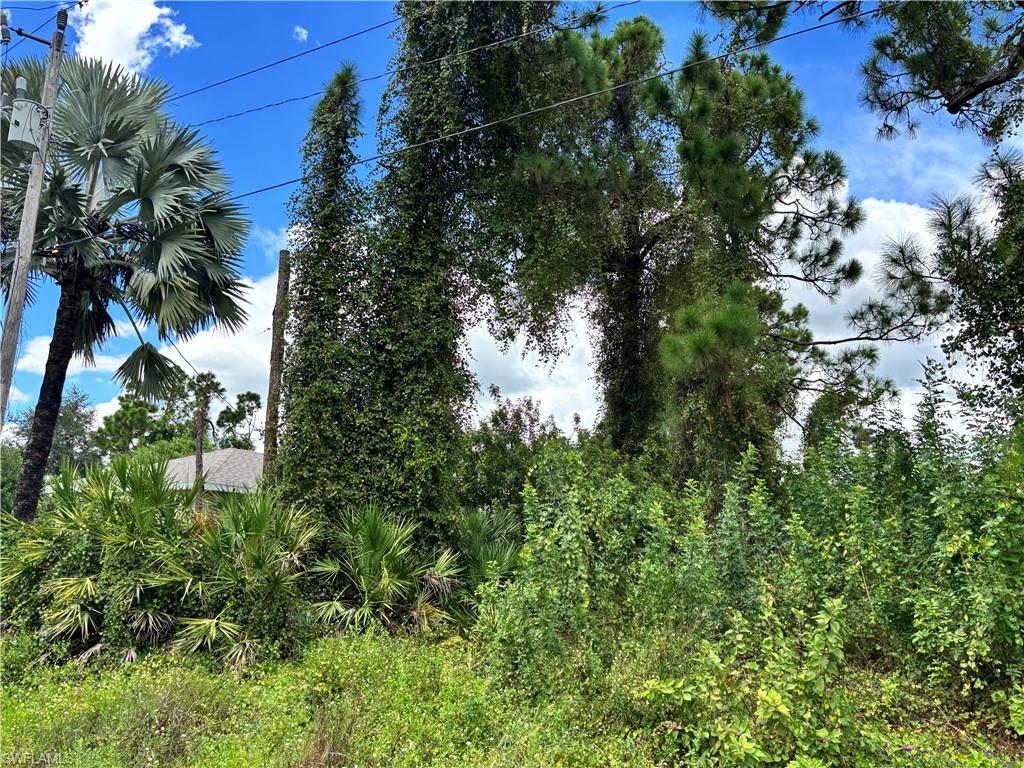 LEHIGH ACRES - Land