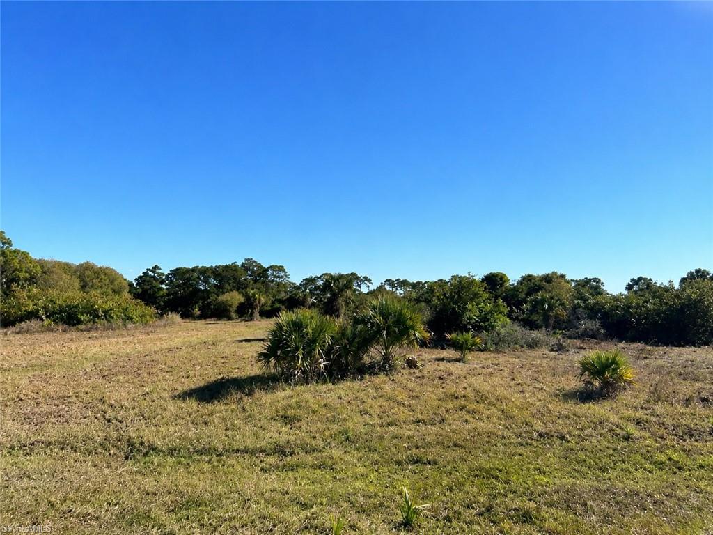 BANYAN VILLAGE - Land