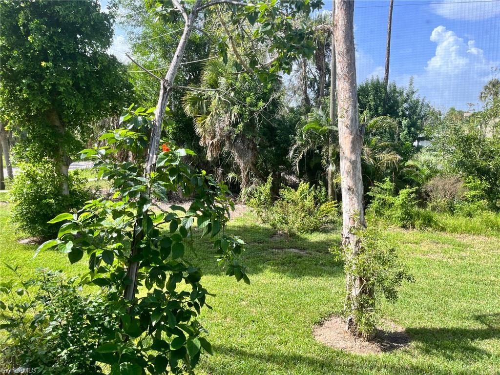 ISLAND PARK WOODS - Residential