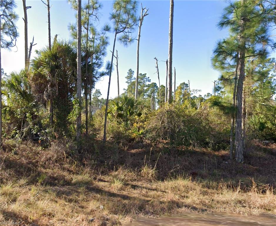 LEHIGH ACRES - Land