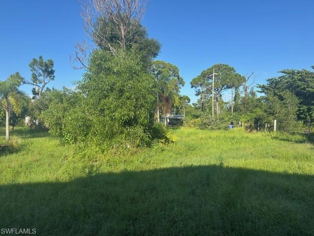 PINE ISLAND RIDGE - Land