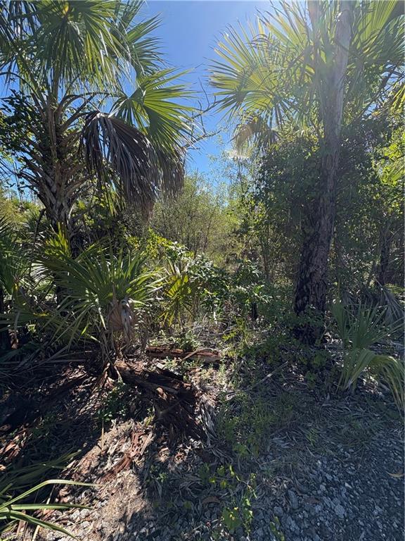 ACREAGE HEADER - Land