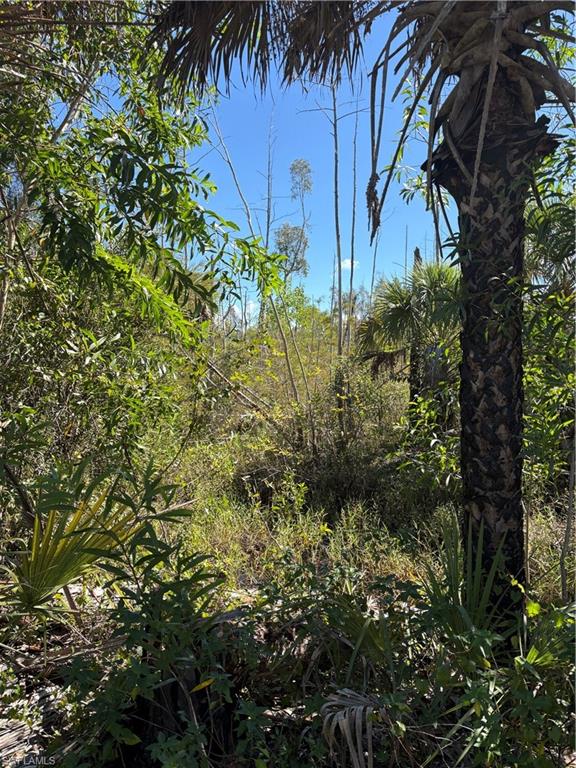 ACREAGE HEADER - Land