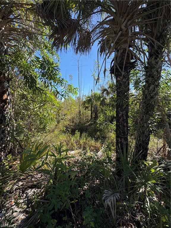 ACREAGE HEADER - Land