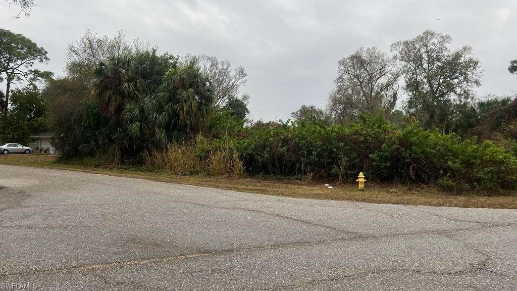 FORT MYERS SHORES - Land