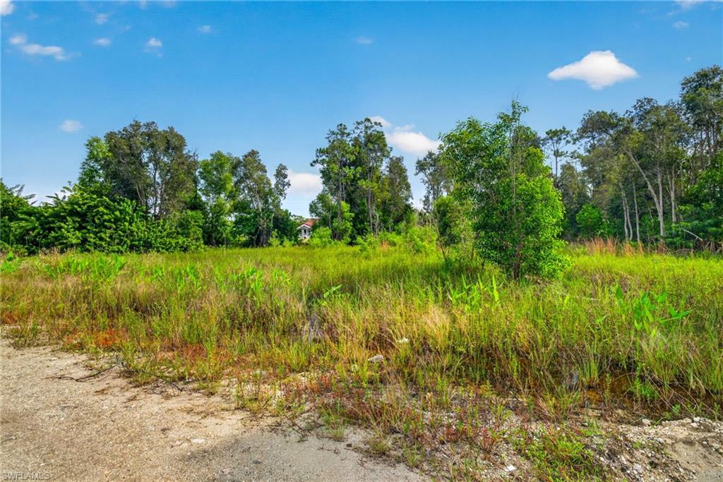 TIMBER TRAILS - Land