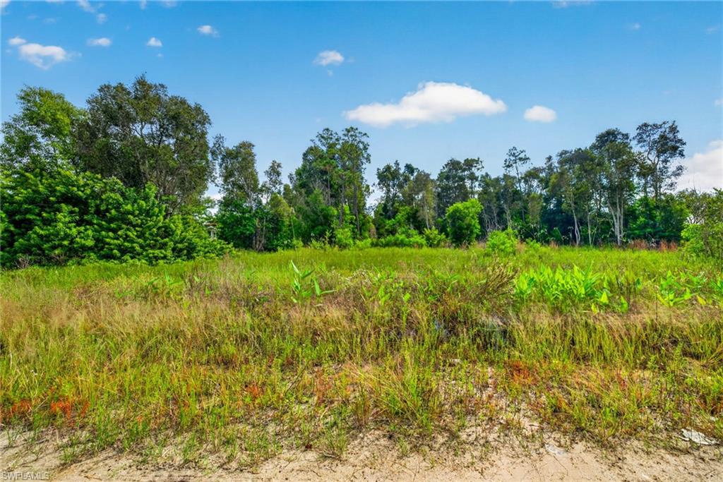 TIMBER TRAILS - Land