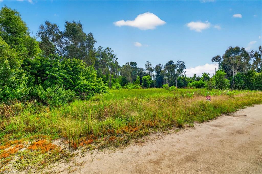 TIMBER TRAILS - Land