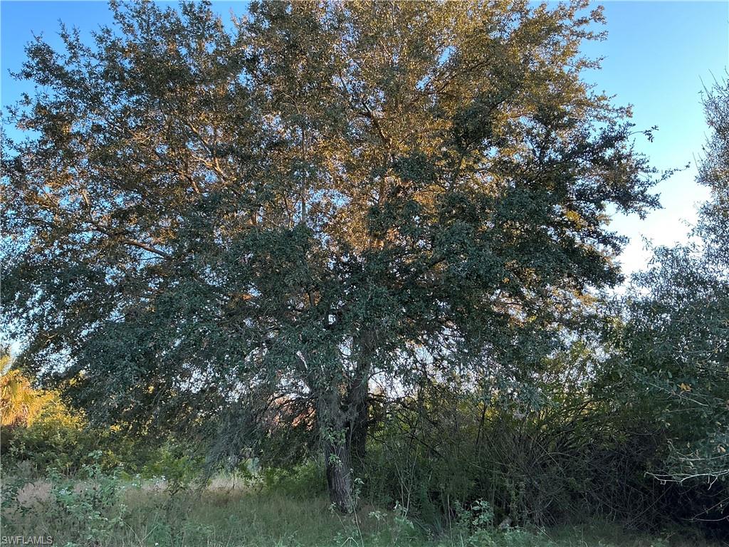 13.34 +/- acres (with more available) partially cleared with beautiful oak trees and palmettos throughout, ideal for someone looking for a peaceful setting to build a farm, ranch, or weekend escape. This property is zoned Ag-2, which allows agricultural or residential use. The canal at the south end of the property is available for irrigation and serves as a natural border. Besides citrus, there are many small farms in the area growing row crops and tropical fruit (lychee, mango, dragon fruit, passion fruit, etc.). Approximately 1 hour from RSW, and 45 minutes from I-75 via SR 29 in Immokalee or SR 80 in Fort Myers. Property is in the Gerber Water District and subject to the Water District tax which is collected by the Hendry County Tax Collector and is used to maintain the roads, canals, and employ security. The roads are private and monitored by a security guard to prevent trespassing.