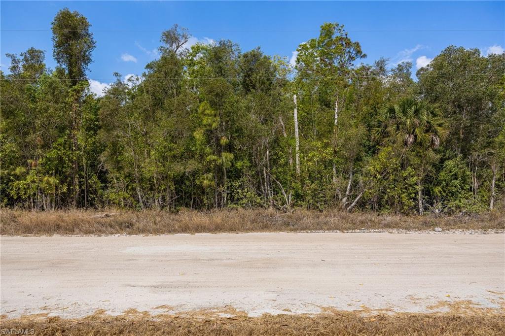 FORT MYERS - Land
