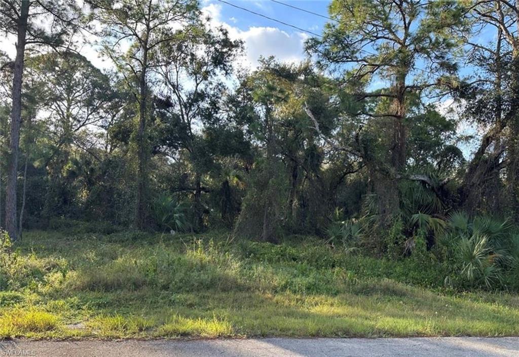 Rare opportunity to own two adjacent half acre lots in Lehigh for a total of one acre! 1711 & 1713 can be sold together or separate.