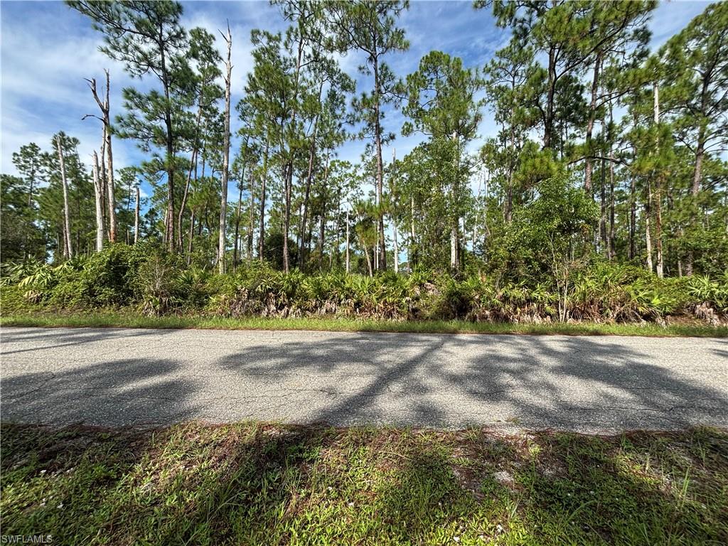 LEHIGH ACRES - Land
