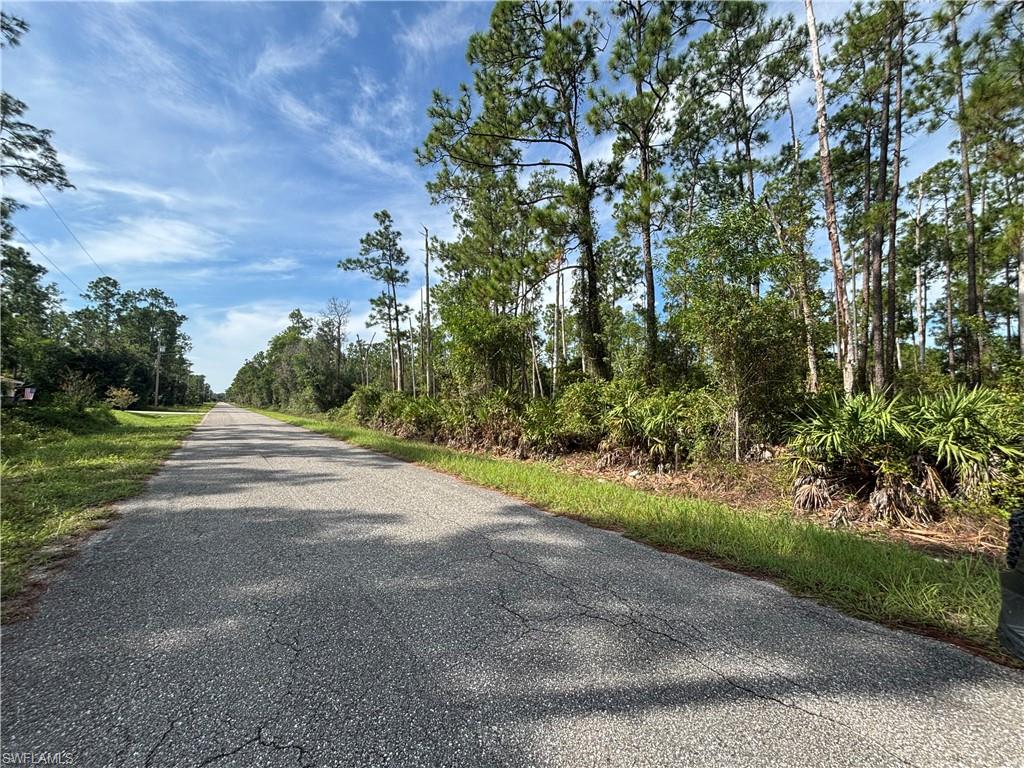 LEHIGH ACRES - Land